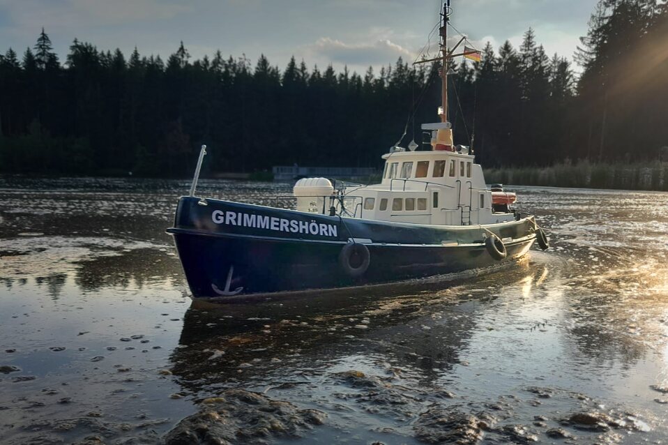 Bild_Modellsommer